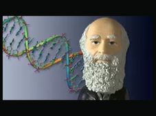 Introduction to Genetics and Evolution Online Course: Duke University