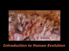 Introduction to Human Evolution: Online course by Wellesley College