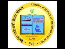 CIFE Mumbai offers admissions to Ph.D programmes