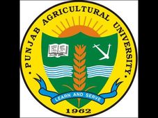 Punjab Agricultural University invites applications for MBA programme