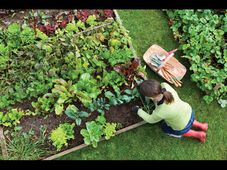 Canada keen to set up horticulture varsity in Haryana 