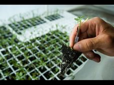Top 10 Universities for Agriculture Sciences in the World