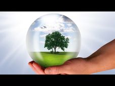 Introduce Environment as Compulsory Subject in Schools: Panel