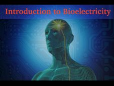 Introduction to Bioelectricity: Online Course by Purdue University