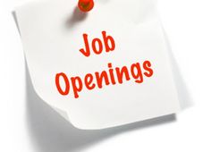 Delhi Dialogue Commission Recruitment for 8 Consultant Posts 2016