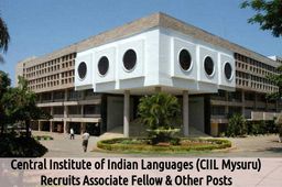 CIIL Mysore Job Openings for 17 Associate Fellow & Other Posts