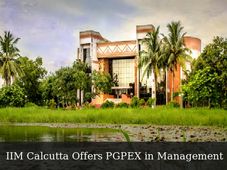 PG Programme for Executives in Management at IIM Calcutta, Apply Now!