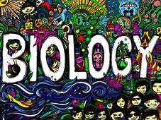 How to Prepare for CBSE Biology Exam?