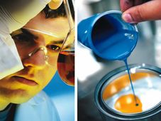 What Is Paint Technology? Scope And Career Opportunities