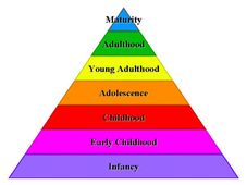 Online Course On Introduction To Developmental Psychology