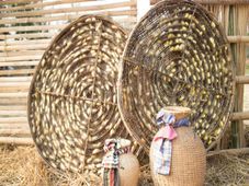 What is Sericulture? Scope And Career Opportunities