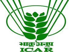 ICAR AIEEA UG, PG 2017: Here's How To Check The Results
