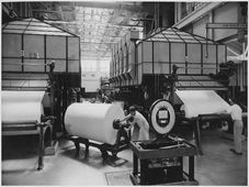  Paper-Pulp Engineering: Career Opportunities and Scope