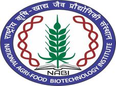 NABI Recruitment 2017: Apply Now