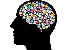 CBSE Class 12 Biology:  Top 30 One Mark Questions!