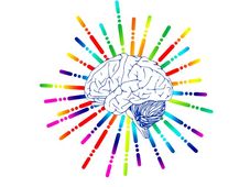 How To Prepare For Biology In NEET