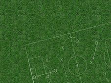 How To Build A Career In Sports Management? Courses & Scope