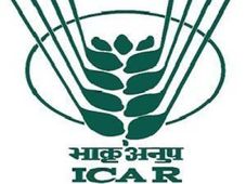 3,705 Posts Vacant For Scientist And Technical Cadre In ICAR: Centre 