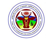 TANUVAS UG Rank List 2022: Check TN Veterinary Merit List For UG Admission At tanuvas.ac.in 