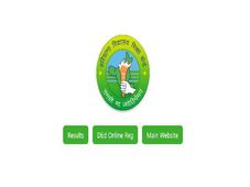 HBSE 12th Toppers 2022 List: Check Haryana Board 12th Topper List, HBSE 12th Pass Percentage Details