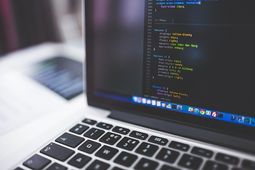 Highly Paid Unique Branches in Engineering