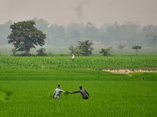 List of Agricultural Revolutions In India