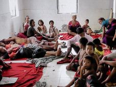 World Mosquito Day 2022: History, Significance and Facts 