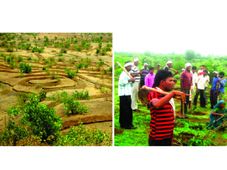 World Food Day 2022: World Food Day history, significance, theme and more  