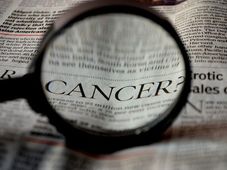 World Rose Day 2022: History, Significance, Facts, How to Celebrate and More