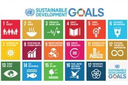 Sustainable Development Goals (SDGs): List of Goals, Initiatives, Indicators & more