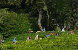 Growth of Indian Economy Since 1947