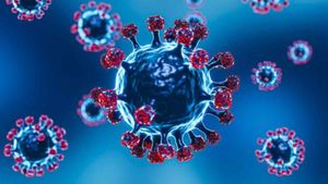 Influenza H3n2 Or Covid-19 Xbb 1.16