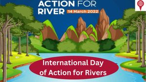 International Day of Action for Rivers 2023: Everything you need to know