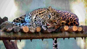 What is El Nino, Impact on Indian Summer Monsoon Due to Climate Change