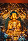  Buddha Purnima 2023:Date, History, Significance, When is Buddha Purnima, What is the Importance of the Day?