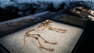 Frozen in Time: How Ice Arrived in India