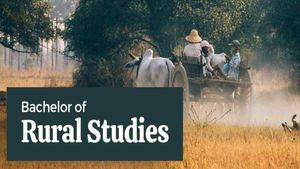 BA in Rural Studies: Scope, Best Colleges, and Admission Details