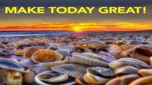 What makes seashells sound like the sea?