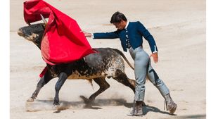 Why Does a Bull Charge at a Red Cloth?