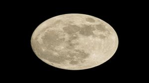 Chandrayaan-3 Landing To Be Telecasted In UP Schools