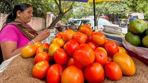 Look Back 2023: Tomato Prices Soared by 700% - Know the Scientific Reason