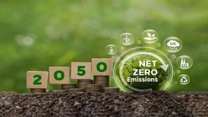 Net Zero by 2050: A Feasible Goal or a Greenwashing Slogan?
