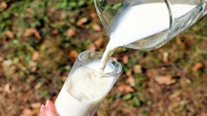 World Milk Day 2024; Date, Theme, History And Significance
