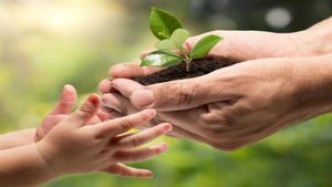 World Nature Conservation Day 2024: History, Significance and more