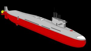 All You Need to Know About the Newly Commissioned Nuclear Submarine; Arighaat