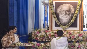 Career Insights from 