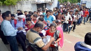IBPS RRB PO Prelims Result 2024: Scorecards Out at ibps.in, Details Here