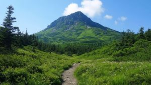 Dhwa Danda: Understanding Uttar Pradesh's Highest Peak and Its Significance