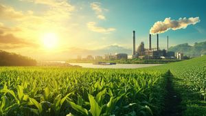 Exploring Major Economic Opportunities in Bihar: Agriculture, Industry, and Education