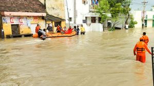 Cyclone Fengal Intensifies in Kerala, Schools Closed Amid Heavy Rains